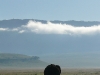elephant-ngorongoro-crater-tanzania